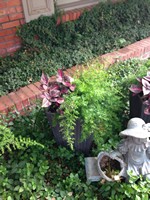 Smart Lawn and Landscape