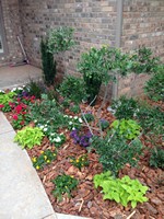 Smart Lawn and Landscape